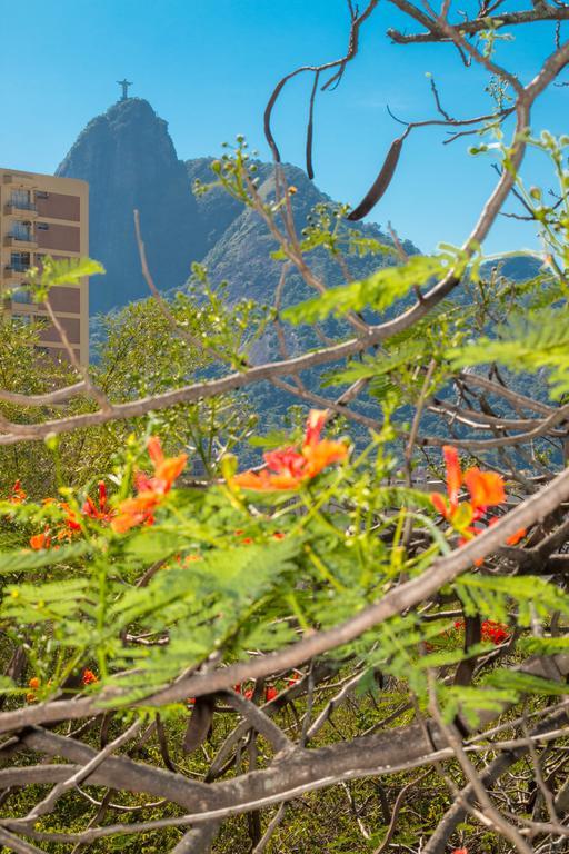 Albergue Rio Nature Hostel Rio de Janeiro